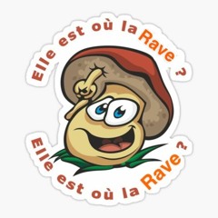 Elle est ou la Rave Party ?