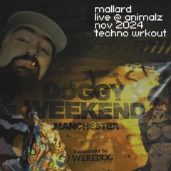 [dj set] mallard @ animalz nov 02 2024