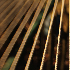 stringing in the reign