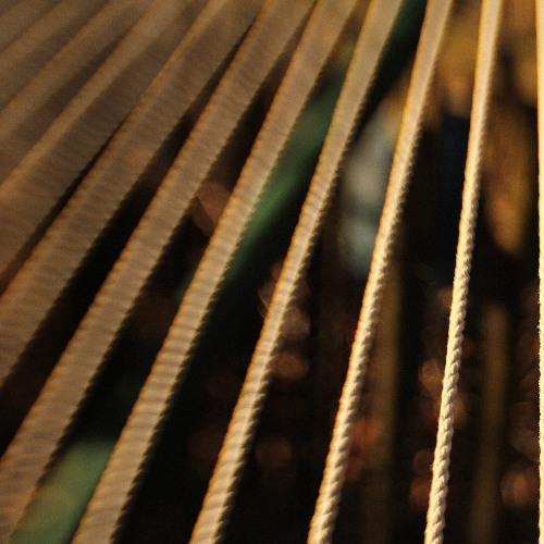 stringing in the reign