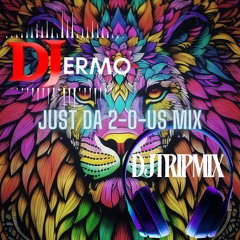 2OUs (DJermo & DJ Trip) - Just Da 2OUs Mix