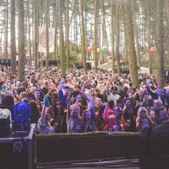 Mr P's Lockdown Festival Mix