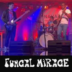 "Mellow" - May 24 2023