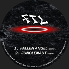 Fallen Angel/Junglenaut EP