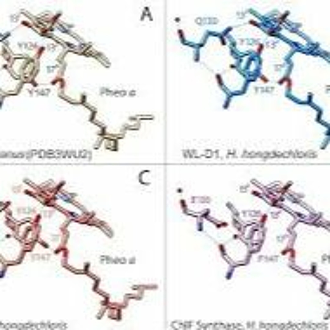 Stream Y161 Marina Collection by Persrulimo | Listen online for free on  SoundCloud