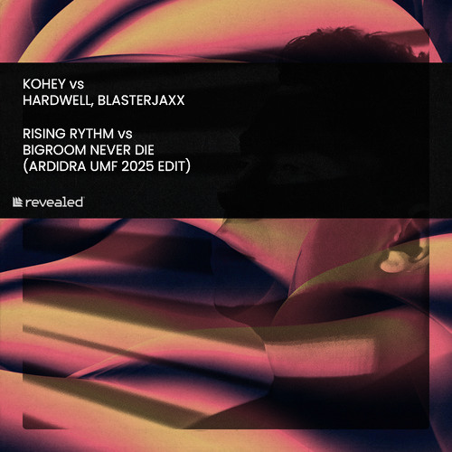 RISING RYTHM vs  BIGROOM NEVER DIES  (ARDIDRA UMF 2025 EDIT)