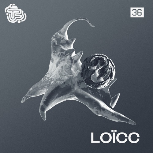 TMS - #36 - Loïcc
