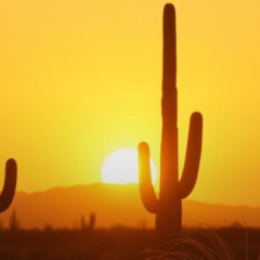 bRb - 1.2 wonderful desert of all (east cactus)