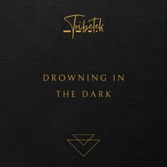 Tribetek- Drowning in the Dark