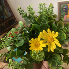 بلدنا نعلي شانا يا ناس - أداء: صباح سنهوري/ جيتار وهندسة صوت: أمين - (الأغنية للفنان يوسف الموصلي)