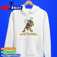 Bee small town big pride shirt
