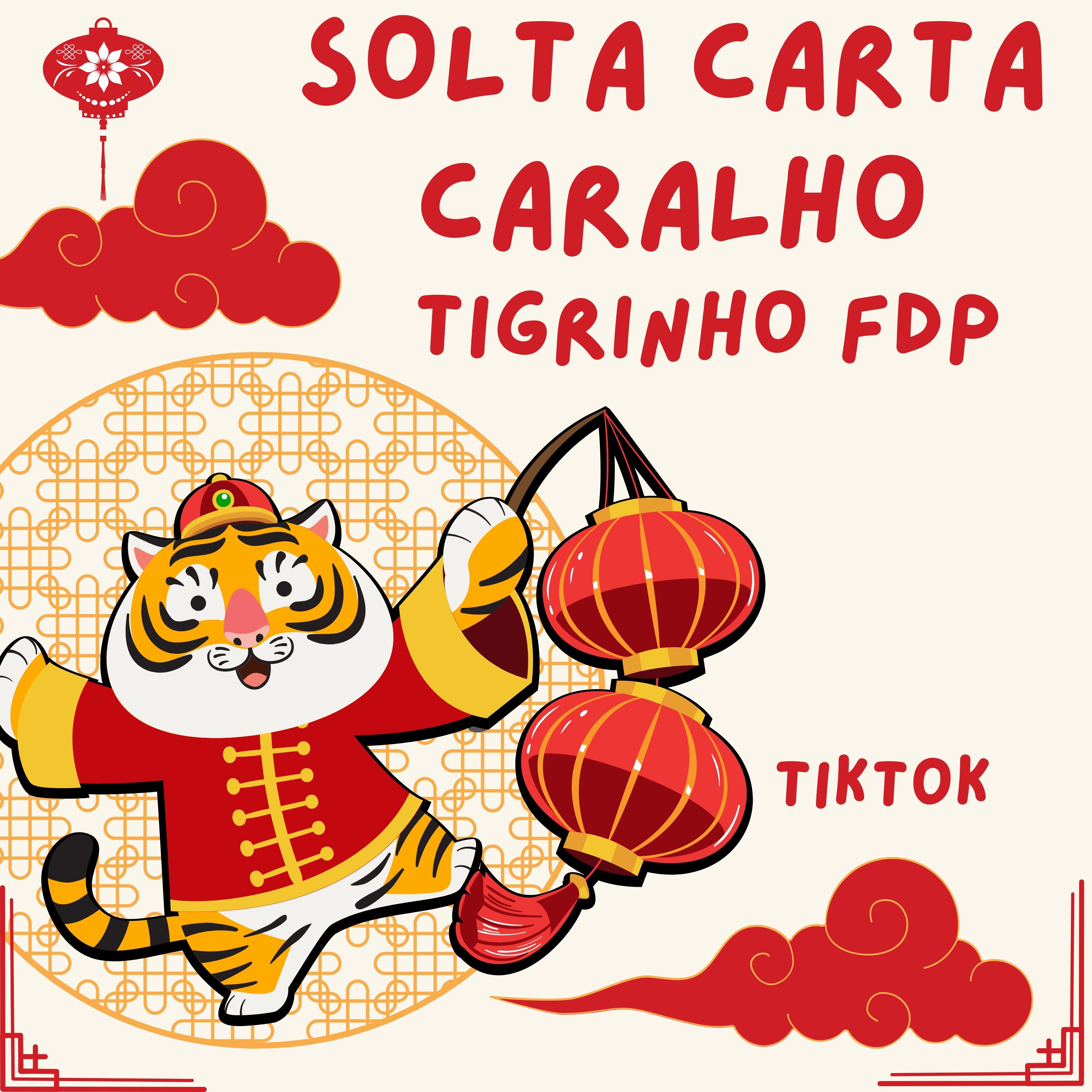 SOLTA A CARTA CARALHO TIGRINHO FDP - TIKTOK ( DJS PSICO DE CAXIAS E DN DE CAXIAS ) episode artwork