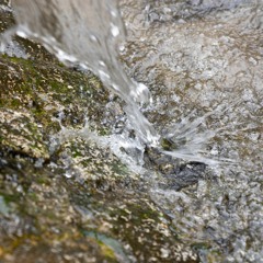 Flowing Upstream 002