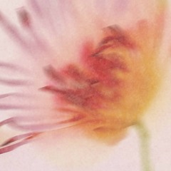 The Art of Fudge [original instrumental]