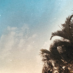 mocca - the best thing (short cover)