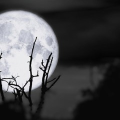 A Hunters Moon ( Music Demo )