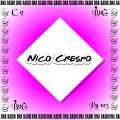 The Book Of Groove - Pg. 105 ( Nico Crespo )