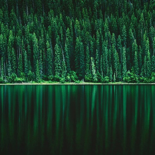 「Under / Over」 - Gracie Abrams