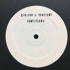 Simiyun & Sentient - (untitled)