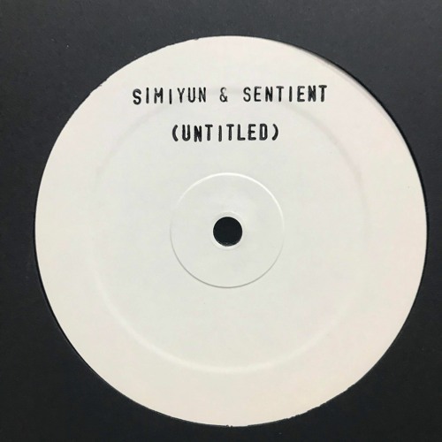 Simiyun & Sentient - (untitled)
