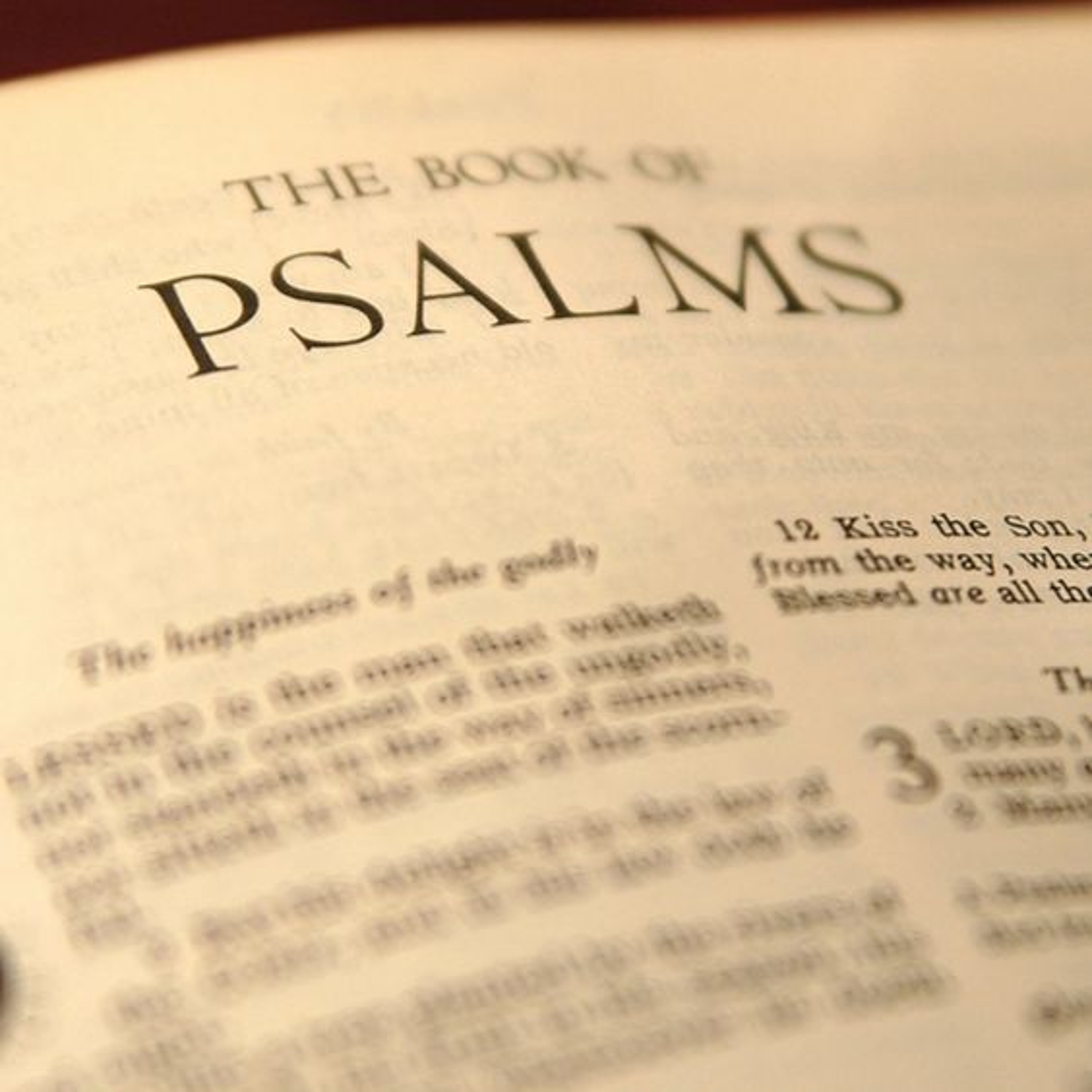 Psalm 3 - Confidence in the Midst of Conflict (7-21-24) episode artwork