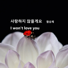 사랑하지 않을게요(I Won't Love You)