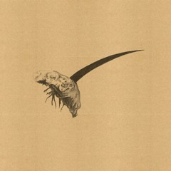 Premiere : Matrpi - Svezk (WLNS002)