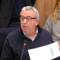 Julio Cobos - Diputado Nacional