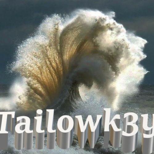 Tailowk3y - No Way UHH