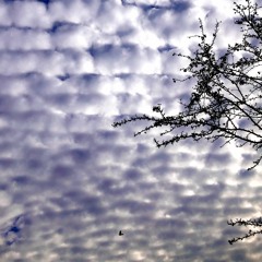 B.LAL - Question Mark