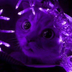 mapt0v - фенибут 2.0 (Slowed + Reverb by Flydee)