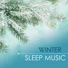Soothing Fire (Sleepy Sounds of Nature)