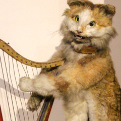 Bingus's Rag