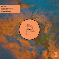 Tim Light - Moonlight Siren (Extended Mix) [Valiant Records]