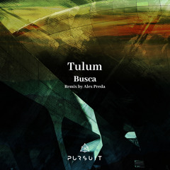 Tulum - Busca
