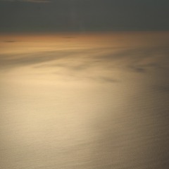 Venus In Pisces: Succulent Dish