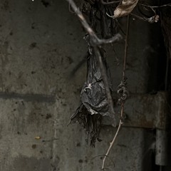 cluttered vegetation