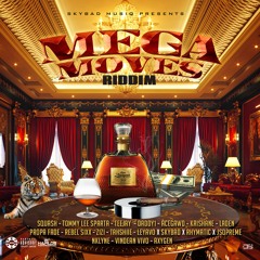 Mega Moves Riddim Mix Squash,Teejay,Daddy1,Tommy Lee Sparta,Rebel Sixx,Laden,Zizi & More (Sky Bad)