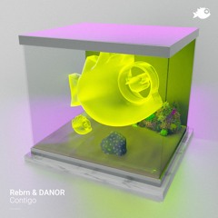 Rebrn & DANOR - Contigo (Original Mix)