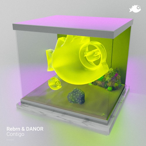 Rebrn & DANOR - Contigo (Original Mix)