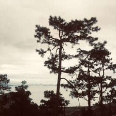 Thênh Thênh Thang Thang (Over Thỉnh king)