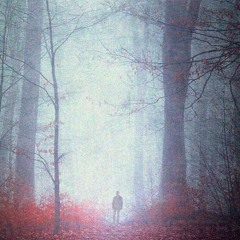 Wandering (Demo)