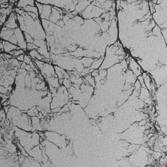 Fragmentation // Eyot Soundscape