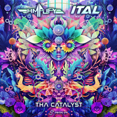 Amplify & Ital - The Catalyst | OUT NOW on Digital Om!🕉️