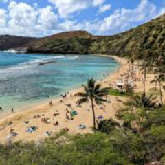 Hawaii Five O