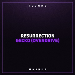 Resurrection vs Gecko (Overdrive) (tjomme mashup)