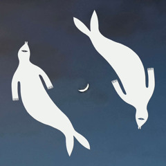 holdkelte-holdnyugta