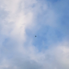 a girl whitin my soul