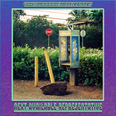 Your Next Representative