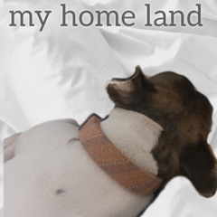 my home land
